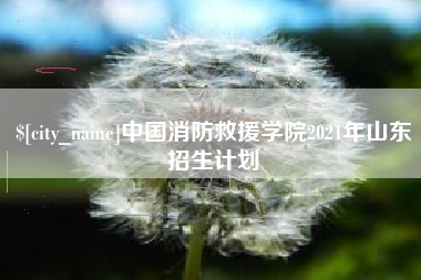 济宁中国消防救援学院2021年山东招生计划