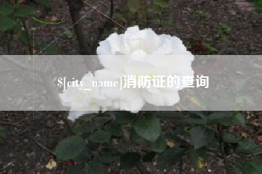 济宁消防证的查询