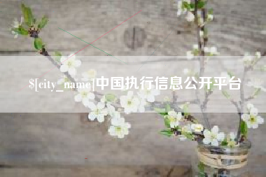 济宁中国执行信息公开平台