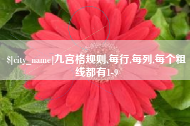 济宁九宫格规则,每行,每列,每个粗线都有1-9