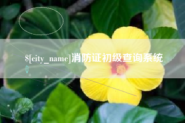 济宁消防证初级查询系统