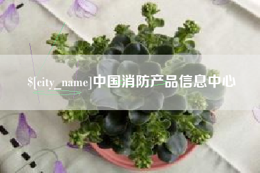 济宁中国消防产品信息中心
