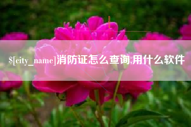 济宁消防证怎么查询,用什么软件