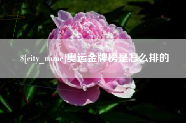 济宁奥运金牌榜是怎么排的