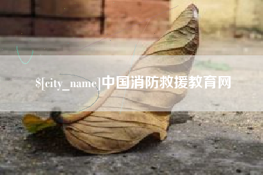 济宁中国消防救援教育网