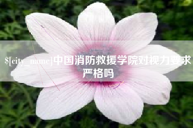 济宁中国消防救援学院对视力要求严格吗