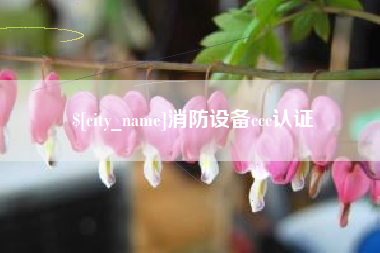 济宁消防设备ccc认证
