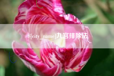 济宁九宫排除法