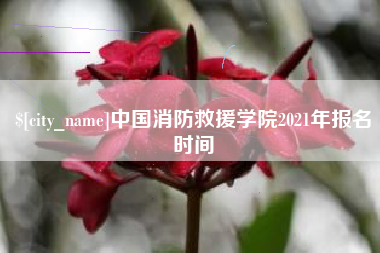 济宁中国消防救援学院2021年报名时间