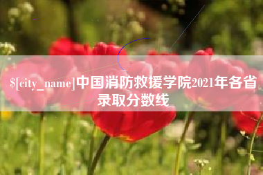 济宁中国消防救援学院2021年各省录取分数线