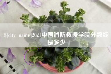 济宁2021中国消防救援学院分数线是多少
