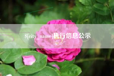 济宁执行信息公示