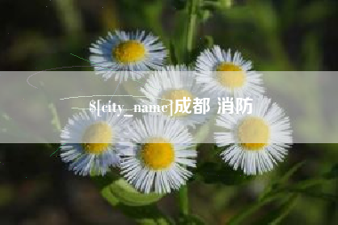 济宁成都 消防