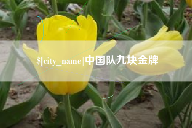 济宁中国队九块金牌