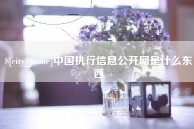 济宁中国执行信息公开网是什么东西