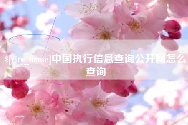 济宁中国执行信息查询公开网怎么查询