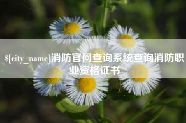 济宁消防官网查询系统查询消防职业资格证书