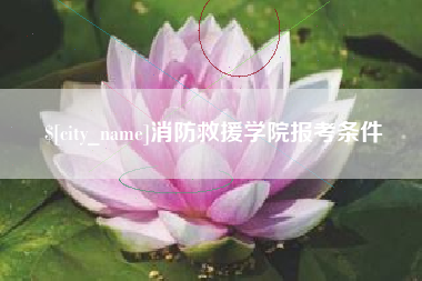 济宁消防救援学院报考条件