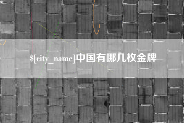 济宁中国有哪几枚金牌
