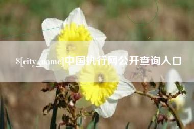 济宁中国执行网公开查询入口