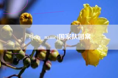 济宁国家队图案