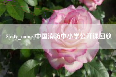 济宁中国消防中小学公开课回放