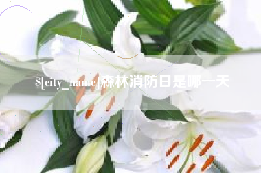 济宁森林消防日是哪一天