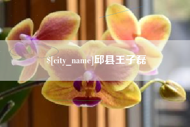 济宁邱县王子磊