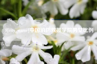 济宁中国消防救援学院男女比例