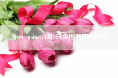 济宁11月9日全国消防日图片