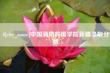 济宁中国消防救援学院新疆录取分数