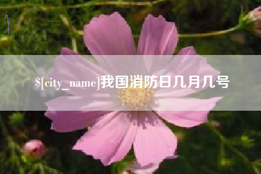 济宁我国消防日几月几号