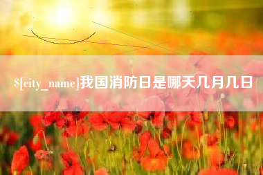 济宁我国消防日是哪天几月几日