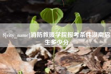 济宁消防救援学院报考条件湖南招生多少分