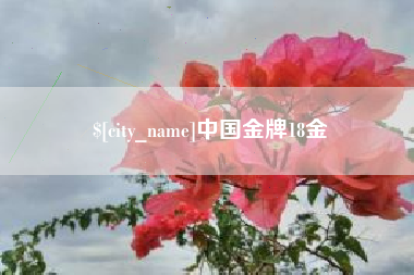 济宁中国金牌18金