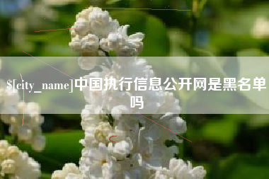 济宁中国执行信息公开网是黑名单吗
