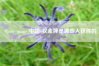 济宁中国6枚金牌是哪些人获得的