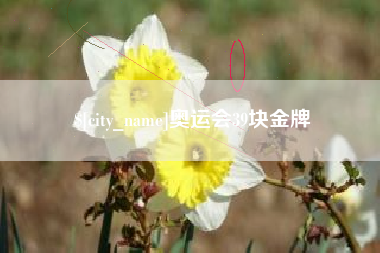 济宁奥运会39块金牌
