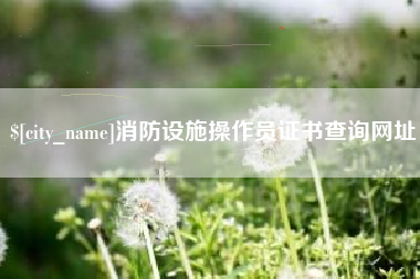济宁消防设施操作员证书查询网址