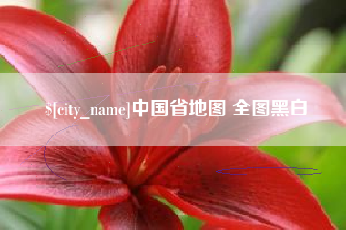 济宁中国省地图 全图黑白