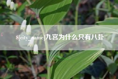 济宁九宫为什么只有八卦