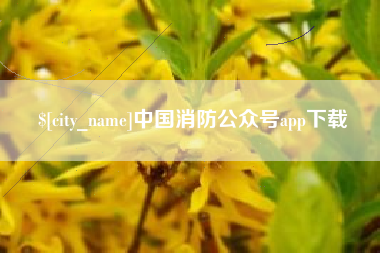 济宁中国消防公众号app下载