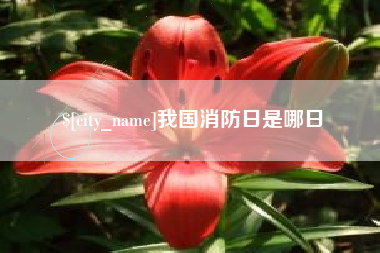济宁我国消防日是哪日