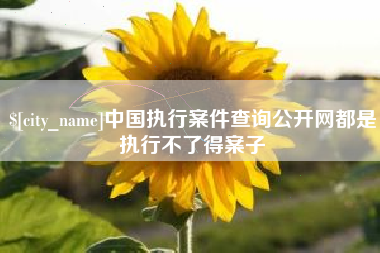 济宁中国执行案件查询公开网都是执行不了得案子
