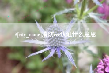 济宁消防ccc认证什么意思