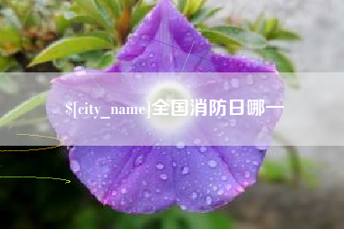 济宁全国消防日哪一
