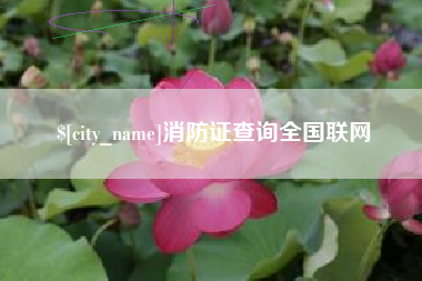 济宁消防证查询全国联网