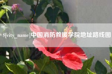 济宁中国消防救援学院地址路线图