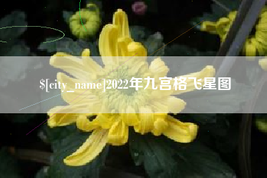 济宁2022年九宫格飞星图