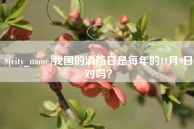 济宁我国的消防日是每年的11月9日对吗？